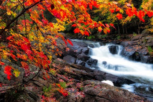 Waterfalls During Fall Season